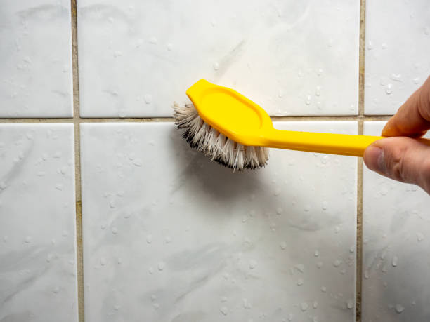 Professional Mold Remediation in Lewistown, PA