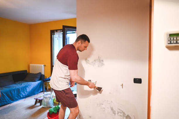Best Crawl Space Mold Remediation in Lewistown, PA